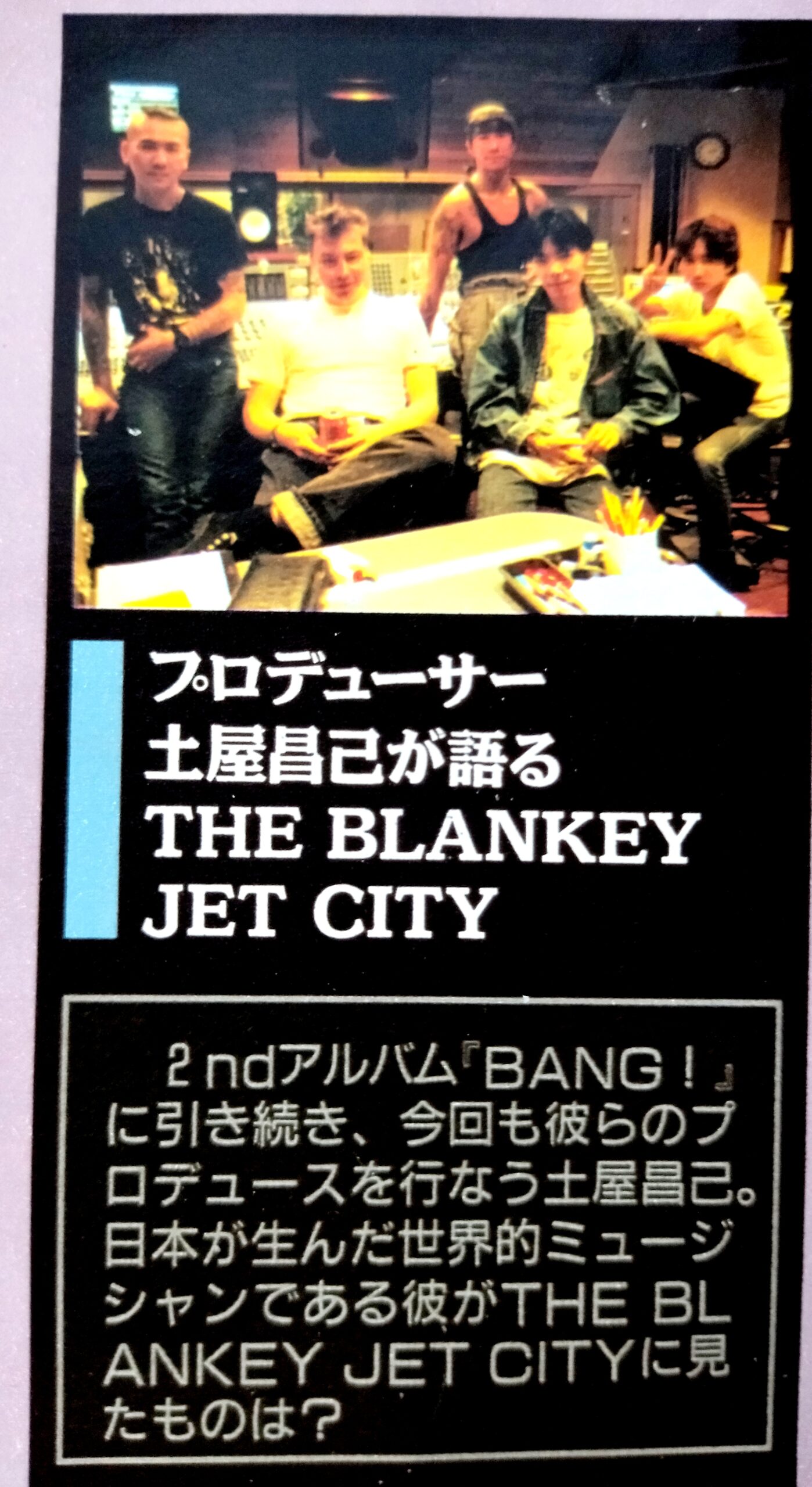 実使用】 浅井健一 ベンジー ピック BLANKEY JET CITY - ミュージシャン